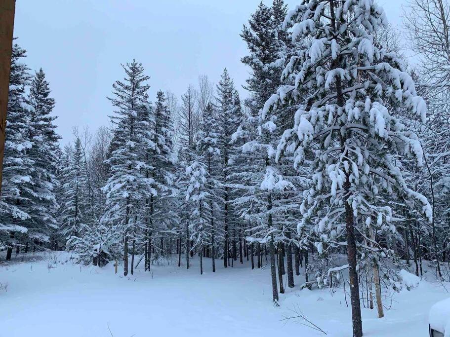 Appartement Mont Edouard, Hebergement Paisible A La Montagne LʼAnse-Saint-Jean Екстериор снимка
