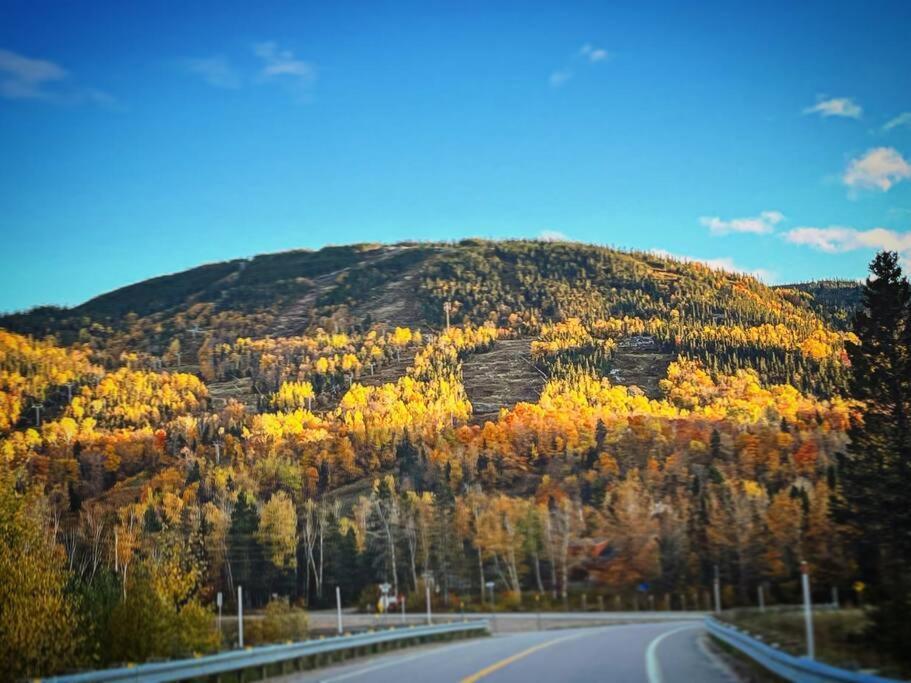 Appartement Mont Edouard, Hebergement Paisible A La Montagne LʼAnse-Saint-Jean Екстериор снимка