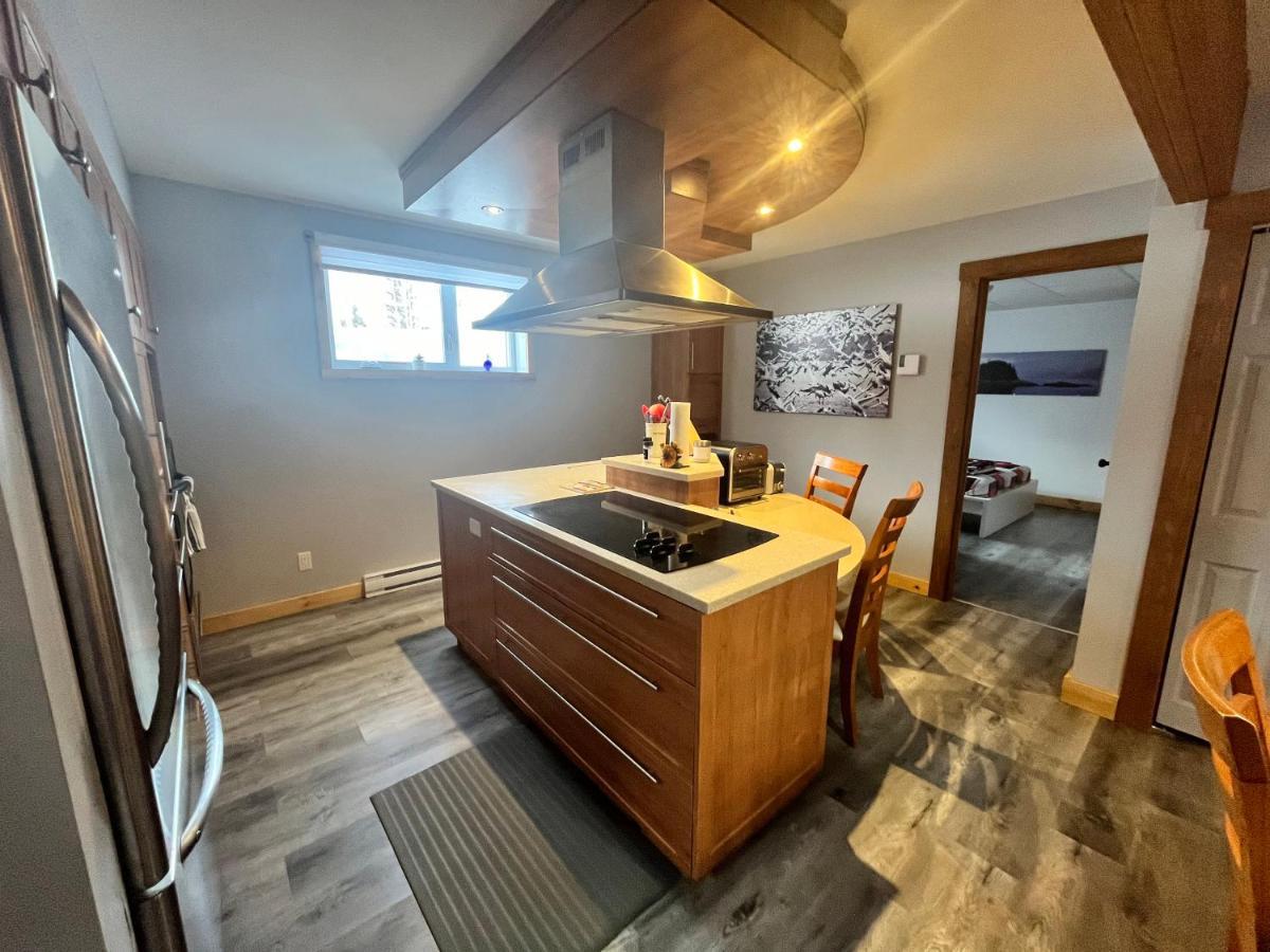 Appartement Mont Edouard, Hebergement Paisible A La Montagne LʼAnse-Saint-Jean Екстериор снимка