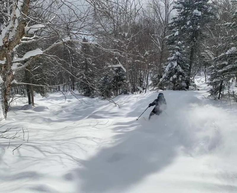 Appartement Mont Edouard, Hebergement Paisible A La Montagne LʼAnse-Saint-Jean Екстериор снимка